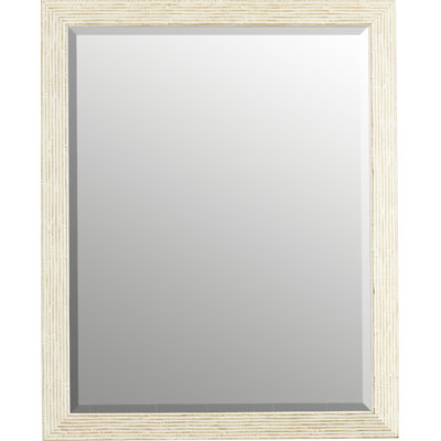 Rosecliff Heights Large Wall Mirror & Reviews | Wayfair